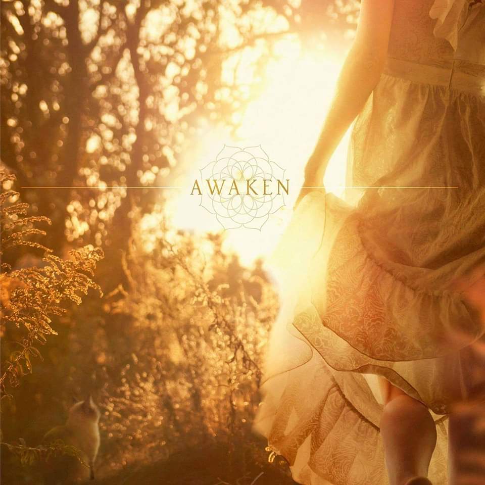 Ecstatic Dance Dallas :: Sun:day Streaming w. OSARA (11am CST)