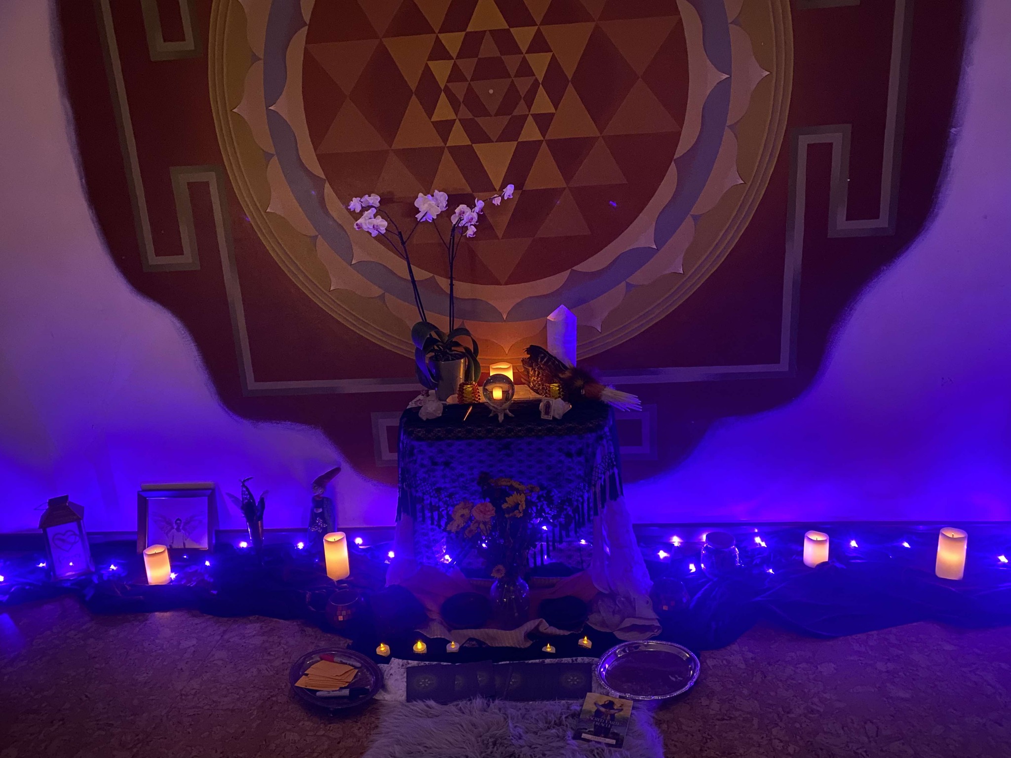 Wild Radiance Sacred Ecstatic Dance w Meredith~this WEDNESDAY!