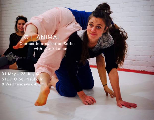 CI Animal - Contact Improvisation Series