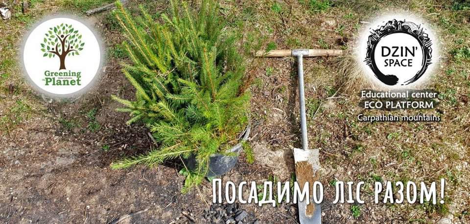 Посадимо ліс разом! - Озеленення України 2020