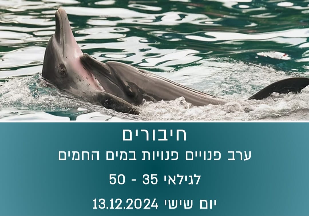 חיבורים - ערב פנויים פנויות במים 40+