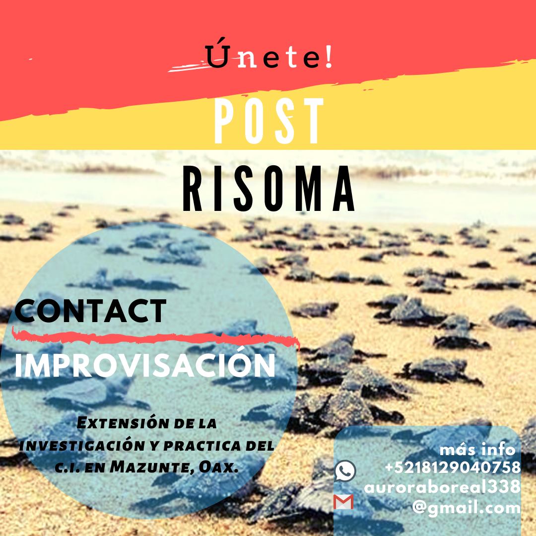 Post Risoma Contact Improvisación