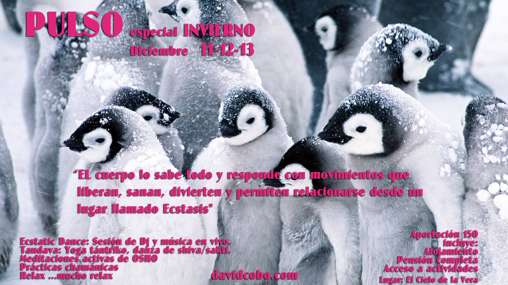 PULSO especial INVIERNO