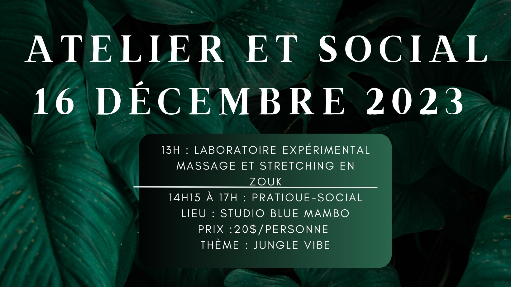 Jungle vibe : atelier et social zouk le 16 décembre