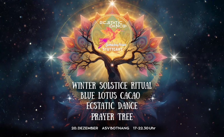 SPECIAL ❖ Wintersonnenwende ❖ ECSTATIC DANCE STUTTGART w Shanliam