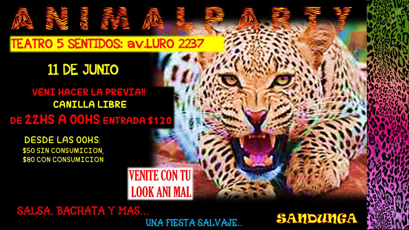 Animal Party En 5 Sentidos
