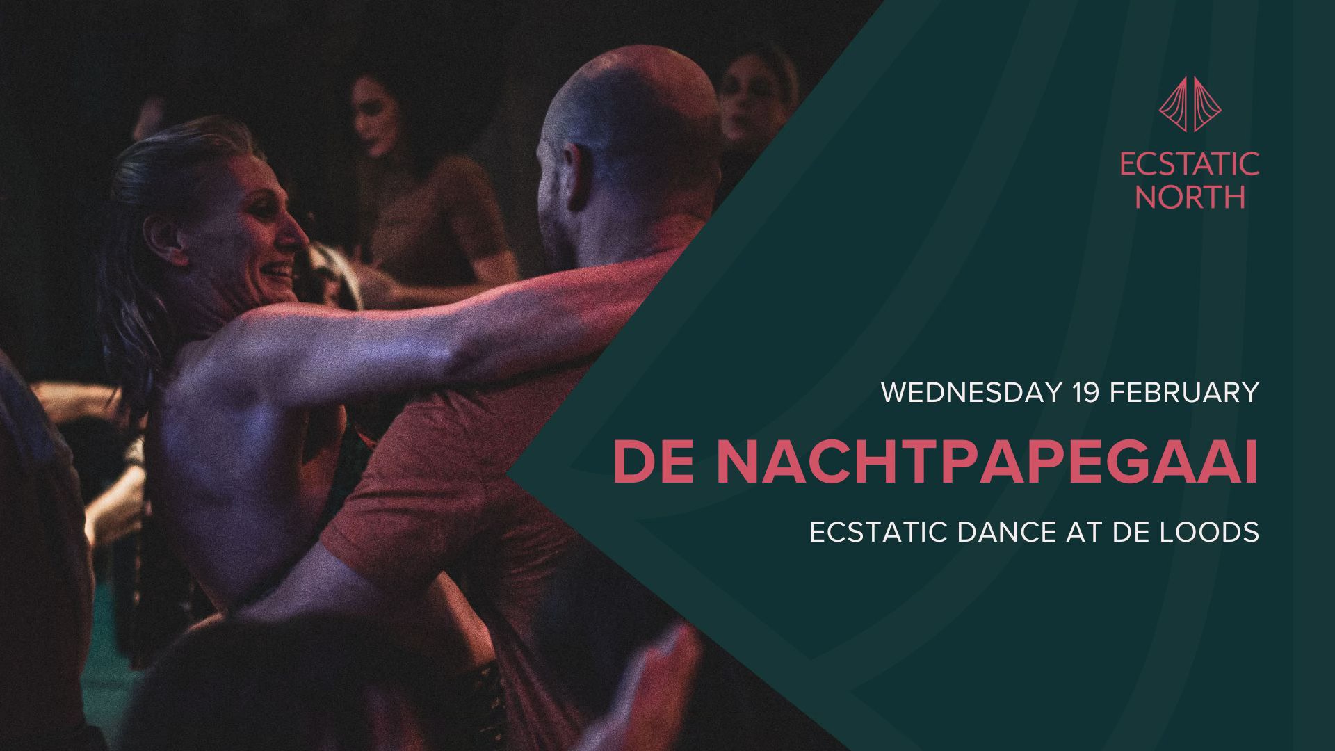 Ecstatic Dance Groningen DJ De Nachtpapgegaai