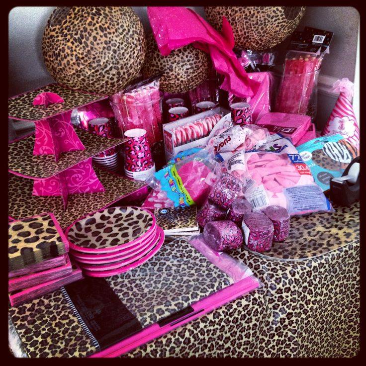 Salsa-Chata Cheetah Party