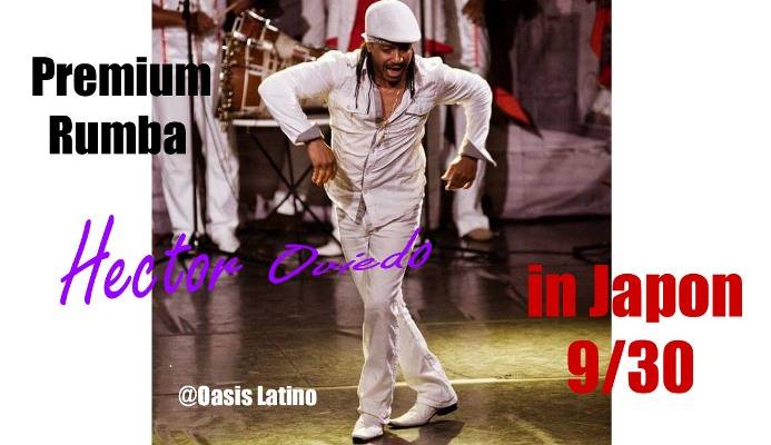 Premium RUMBA