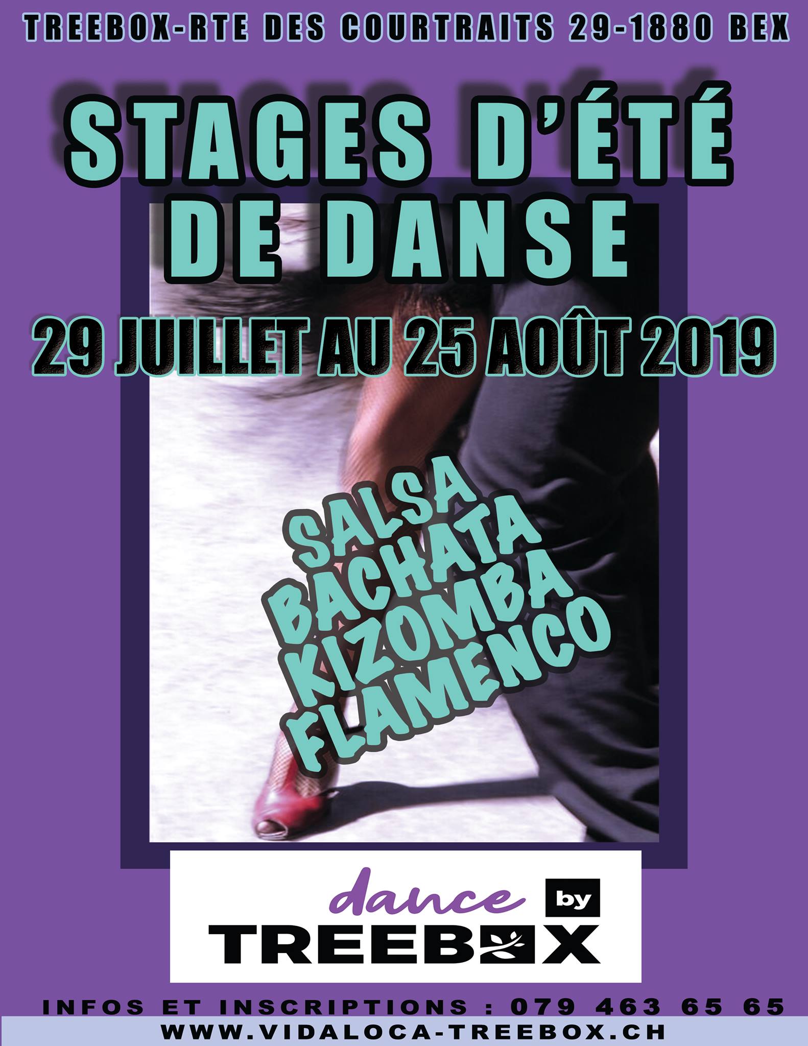 Stage d'été de danse