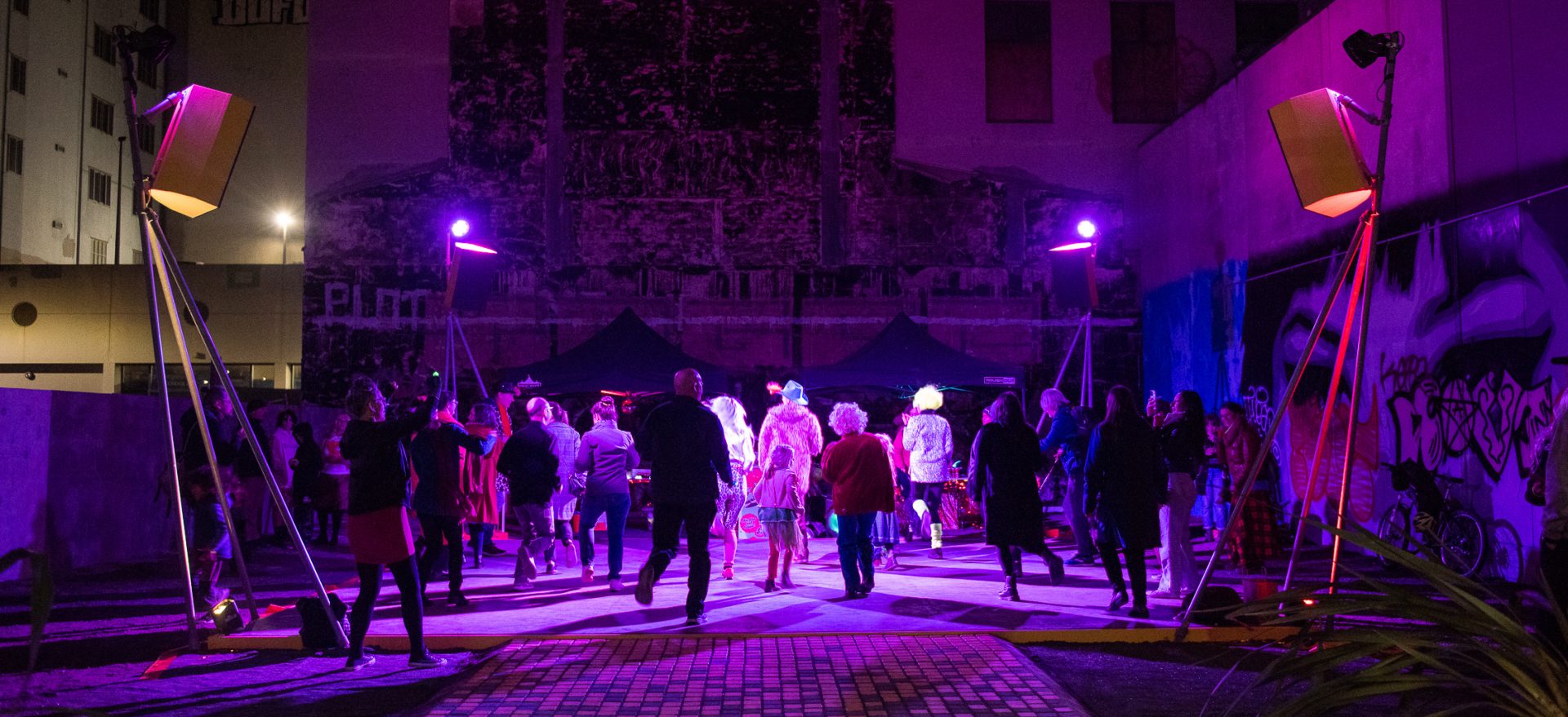 Waitangi Day Dance-o-Mat Social