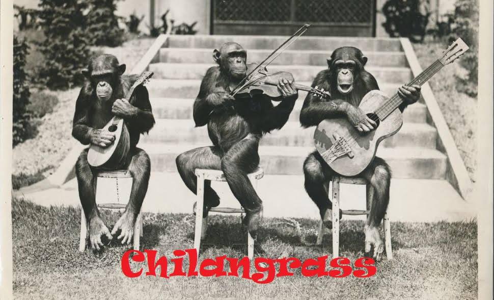 Chilangrass3-last show for 2019!