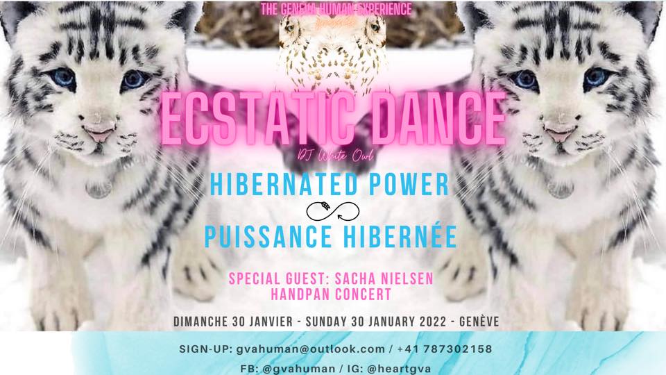 Hibernated Power - Ecstatic Dance