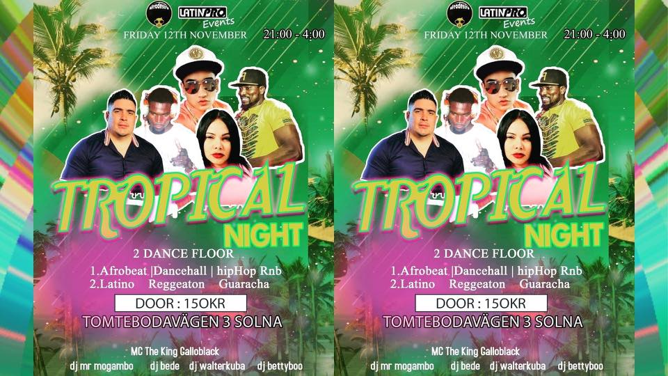 Tropical Night