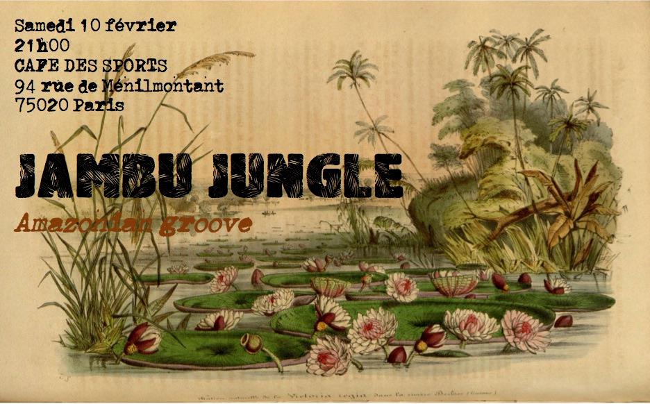 Jambú Jungle en live