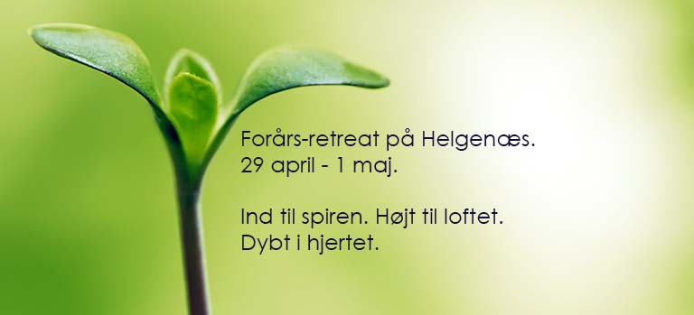 Forår med fordybelse og bevægelse