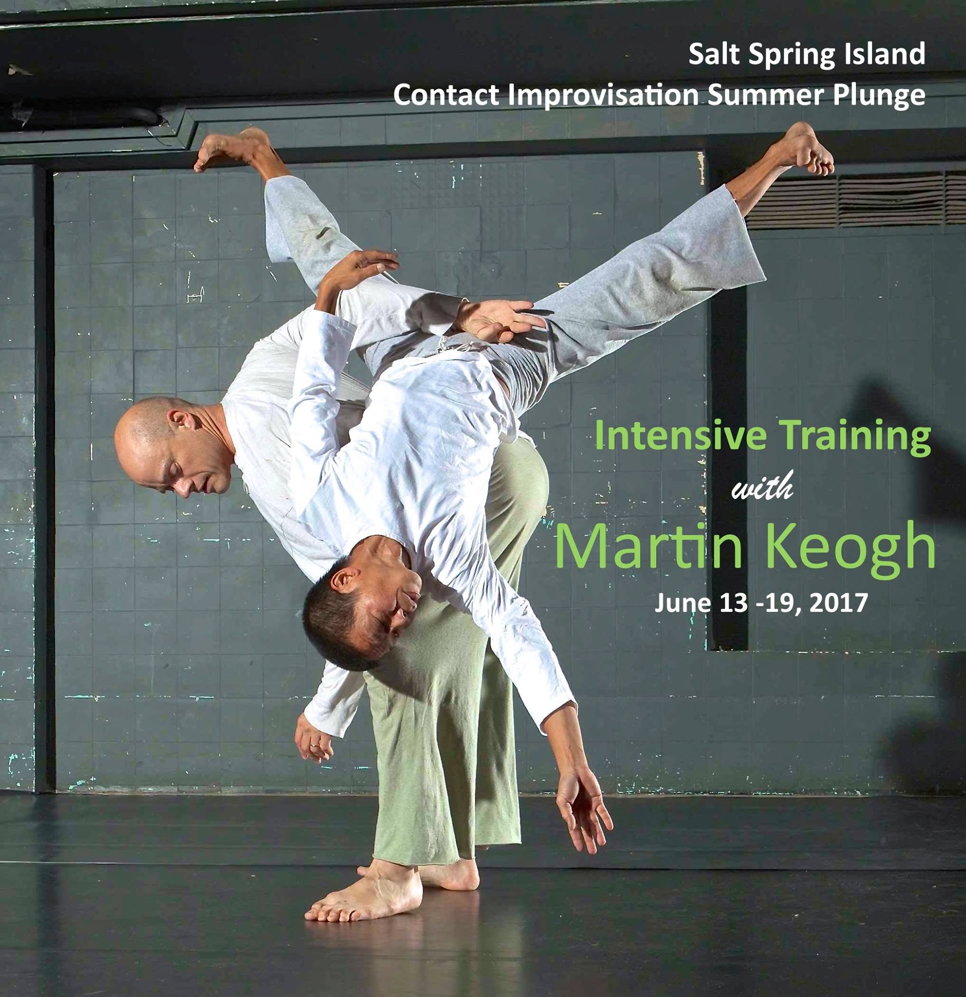 Salt Spring Contact Improv Summer Plunge (Intensive)