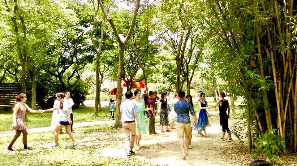Swing X Picnic X Sunbath