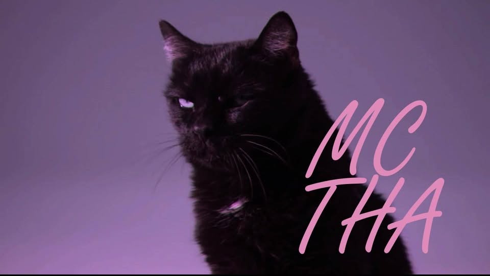 HOJE! - Je TREME + Sudaka convidam Mc Tha no Mundo Pensante