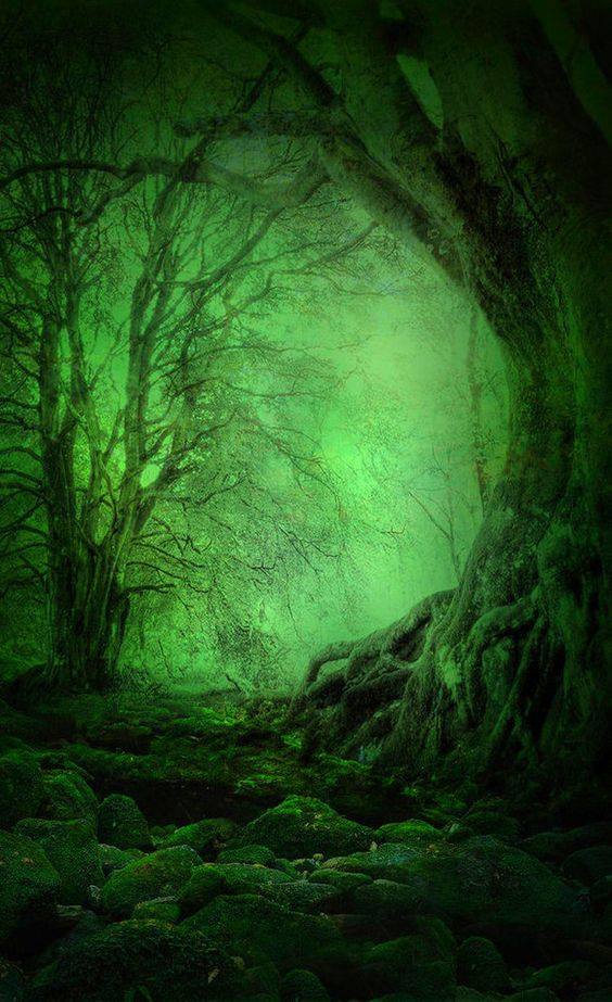 Alma de Tango 14th Annual Masquerade Ball