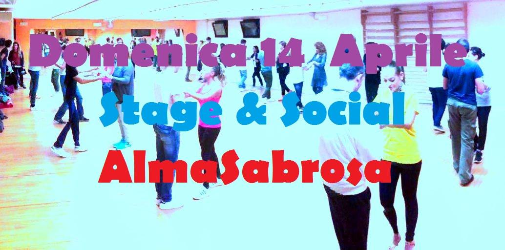Stage & social Almasabrosa
