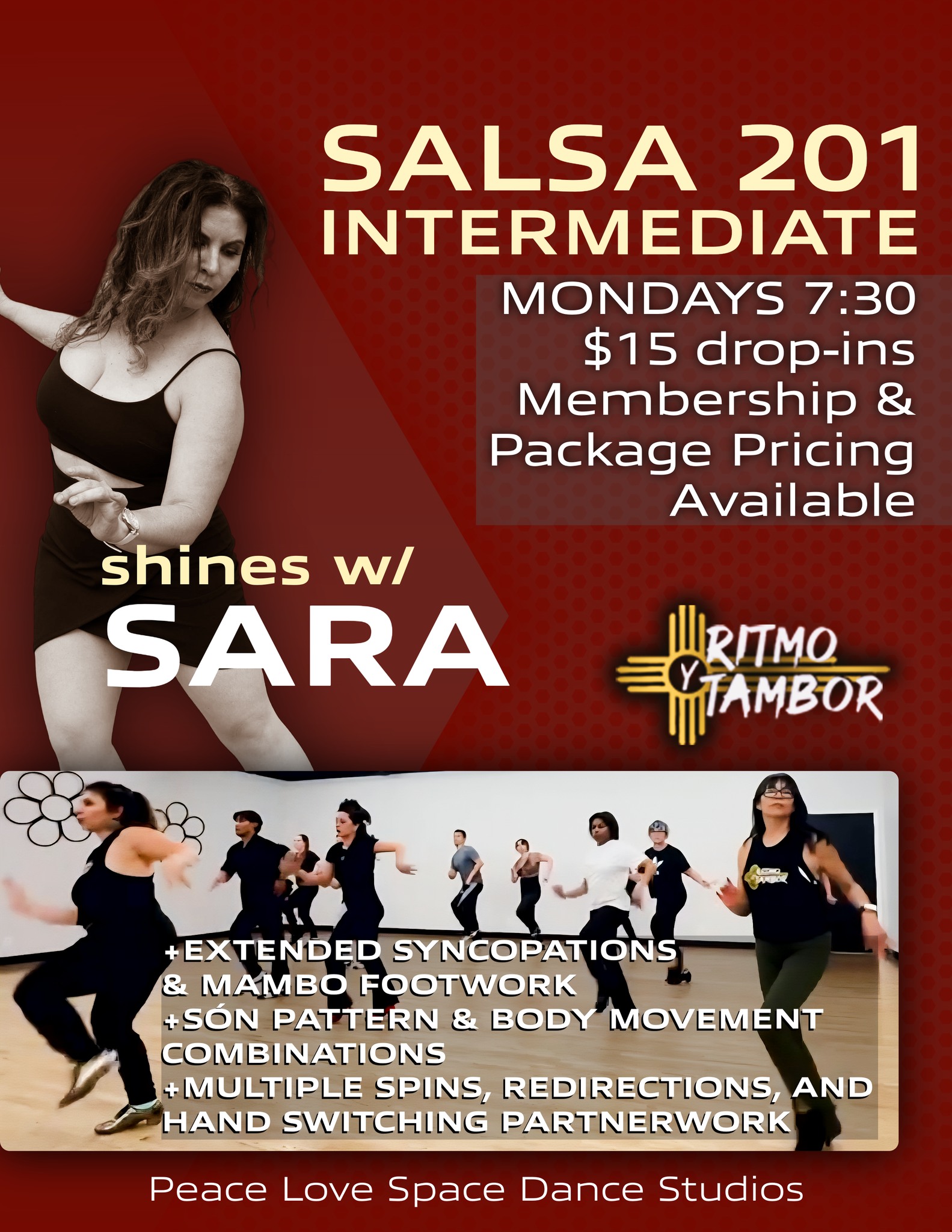 Salsa 201 INT