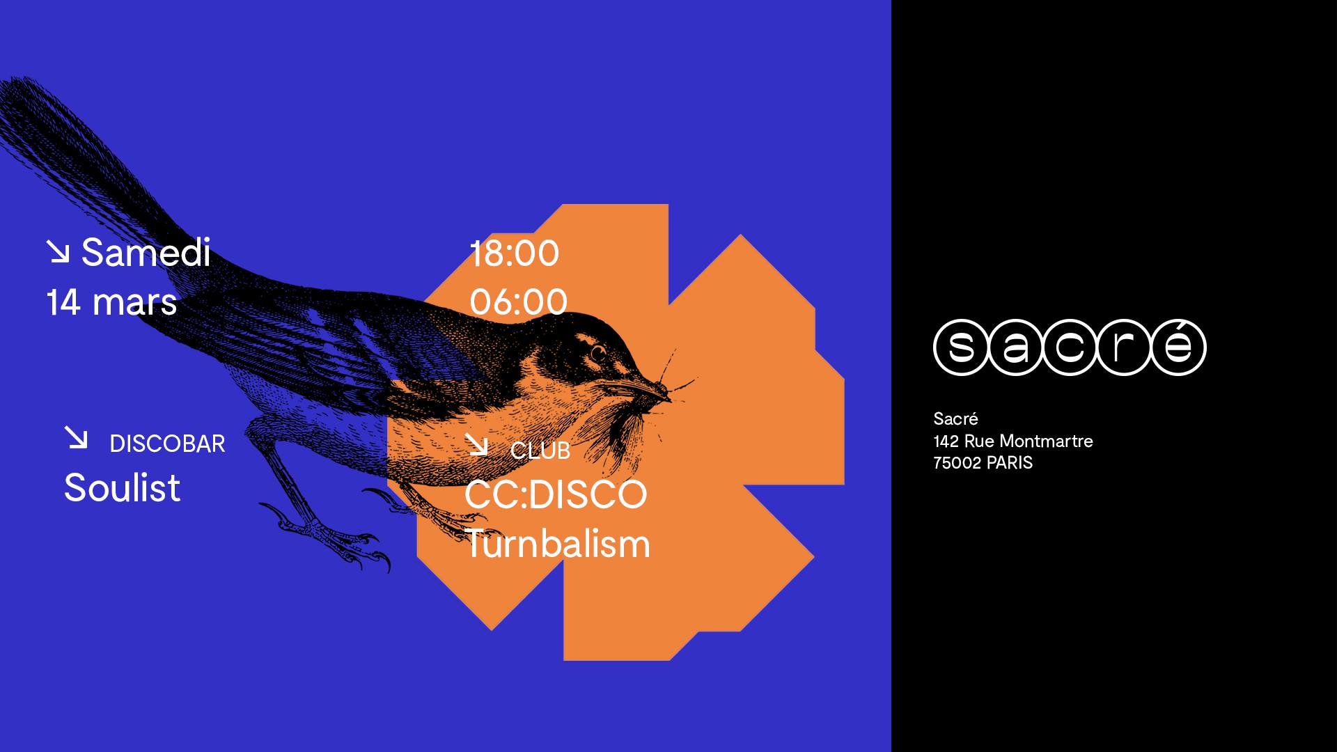Sacré CC DISCO, Turnbalism + Soulist