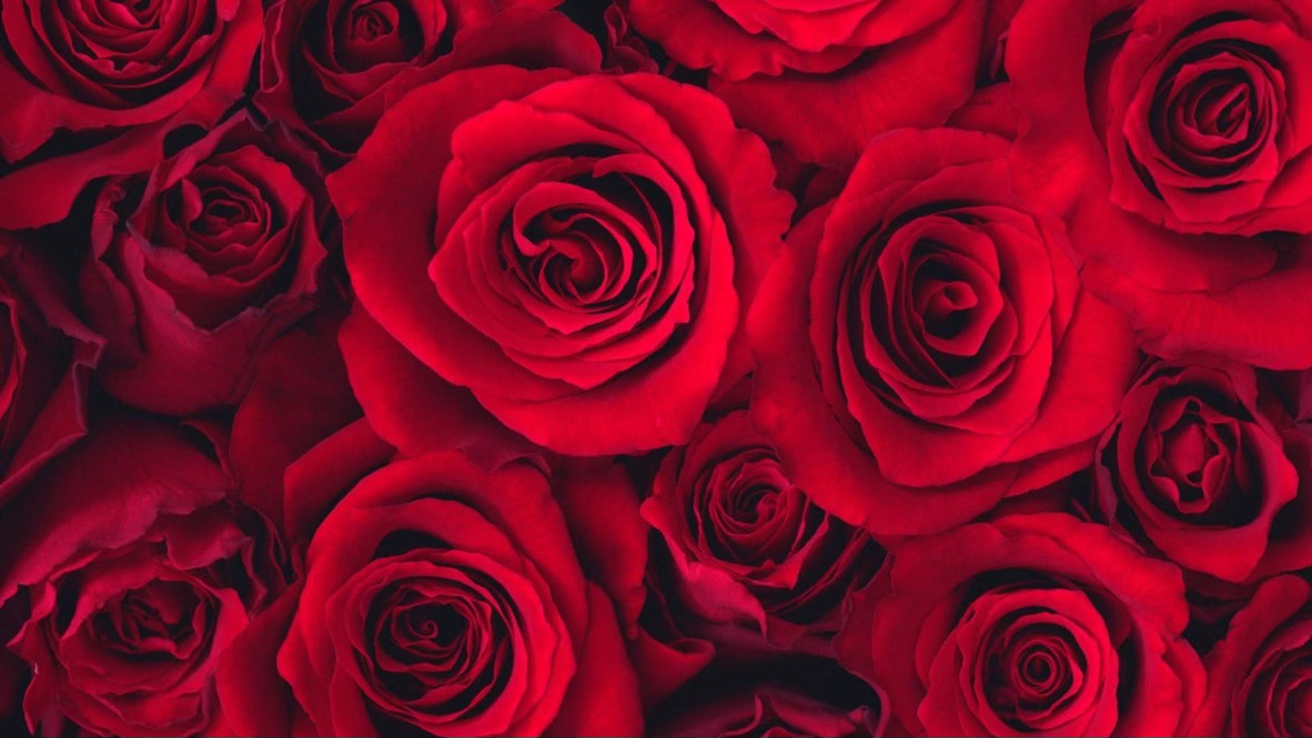 Alma de Tango Valentine Milonga ROUGE