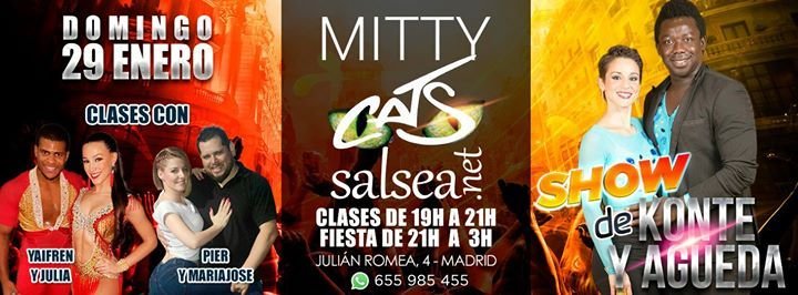 Domingo 29 01 Mitty Cats