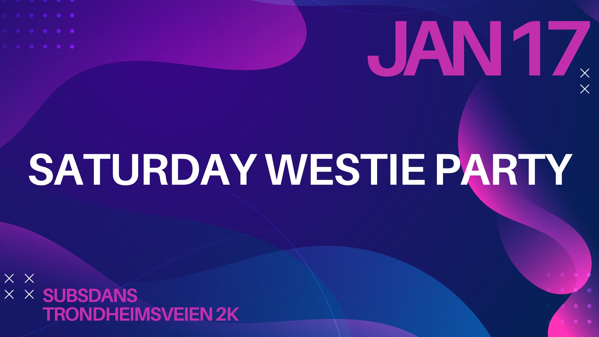 Saturday Westie Party 17.01