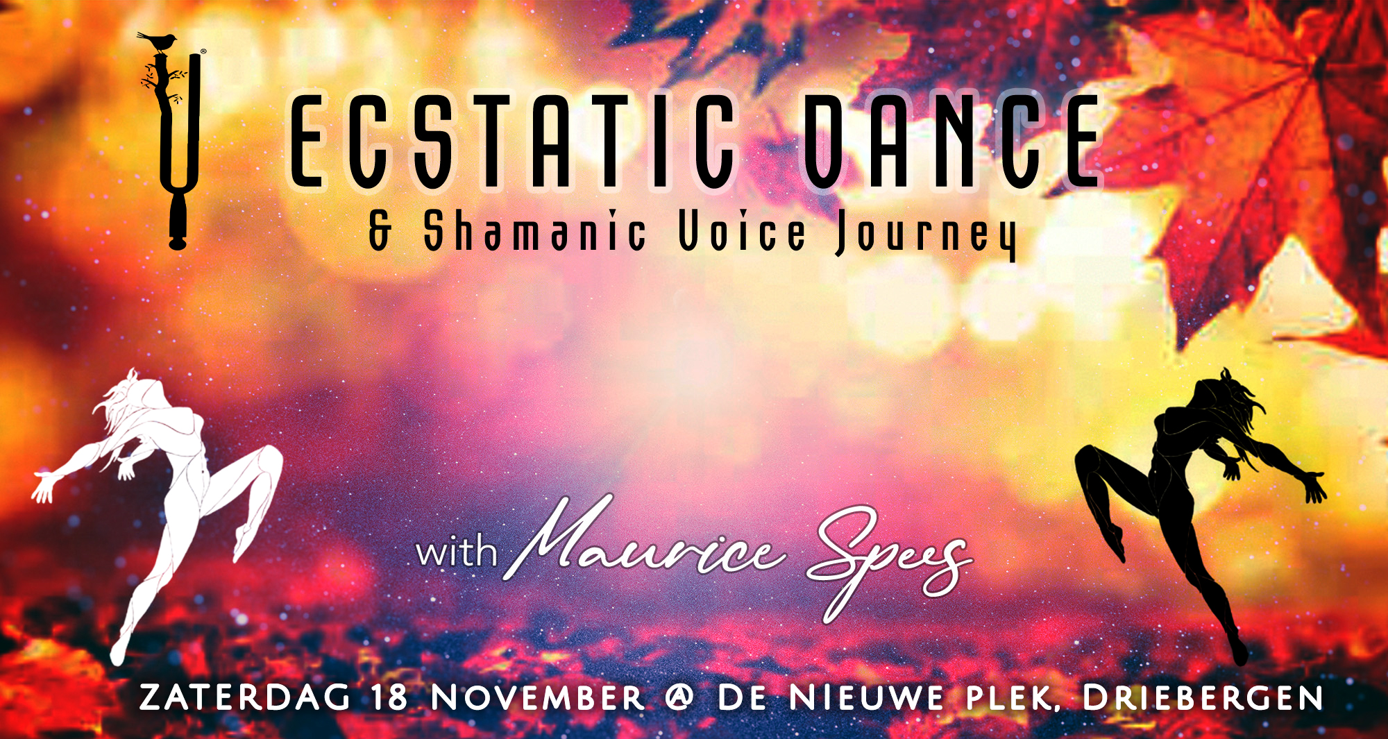 Ecstatic Dance - DJ Maurice Spees @ De Nieuwe Plek, Driebergen