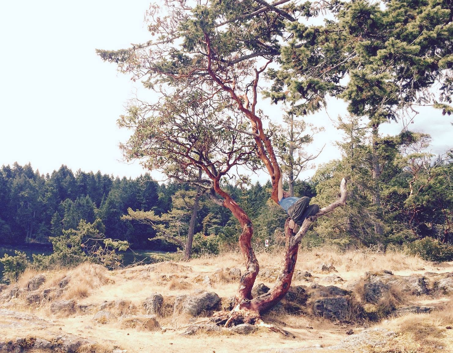 Contact Improvisation in the Wild