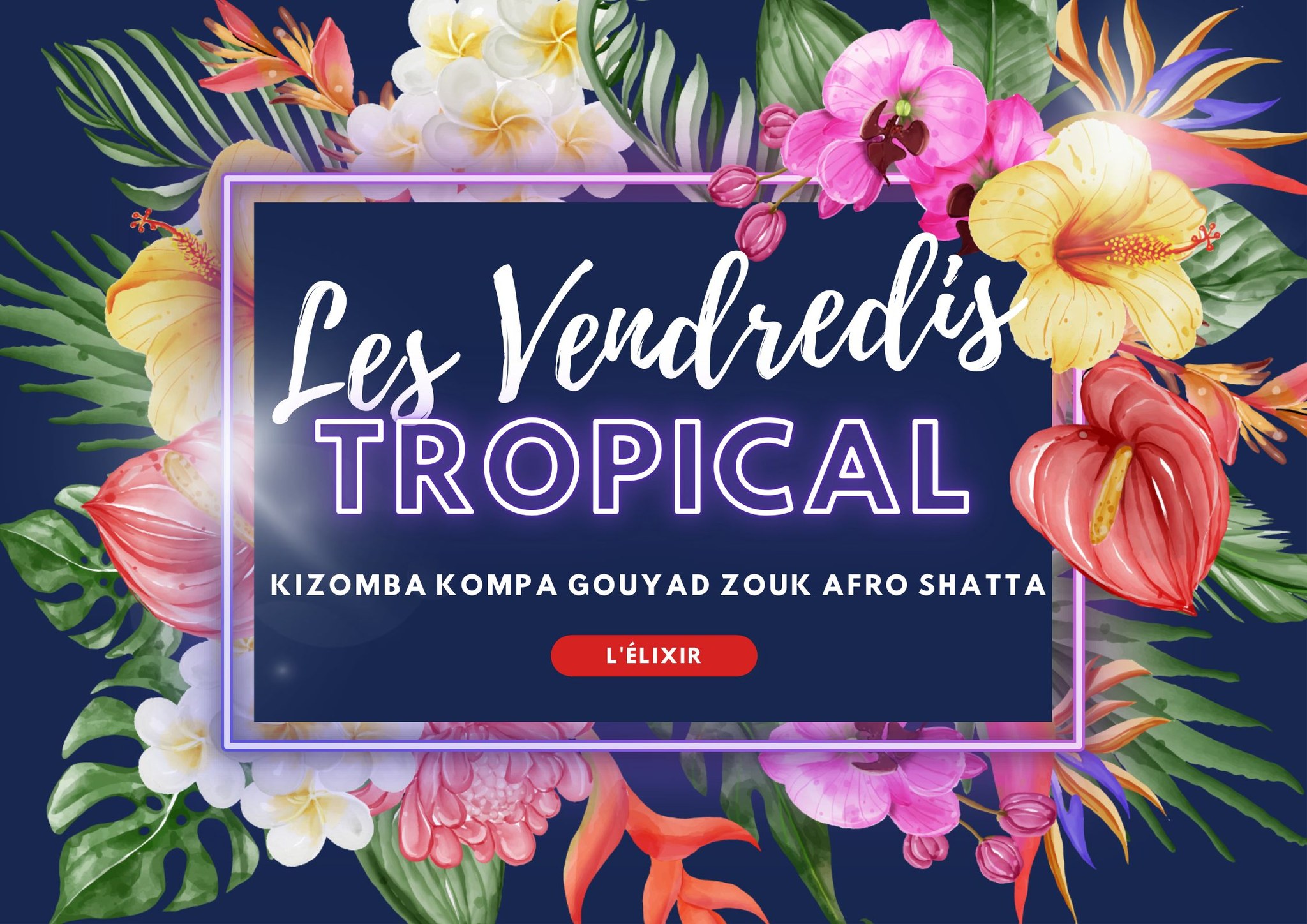LA NUIT TROPICAL 🎅