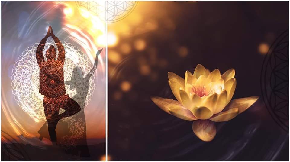Ecstatic dance and yoga retreat