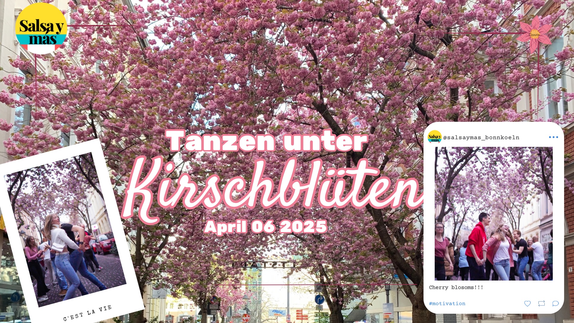 Salsa, bachata y mas unter Kirschblüten