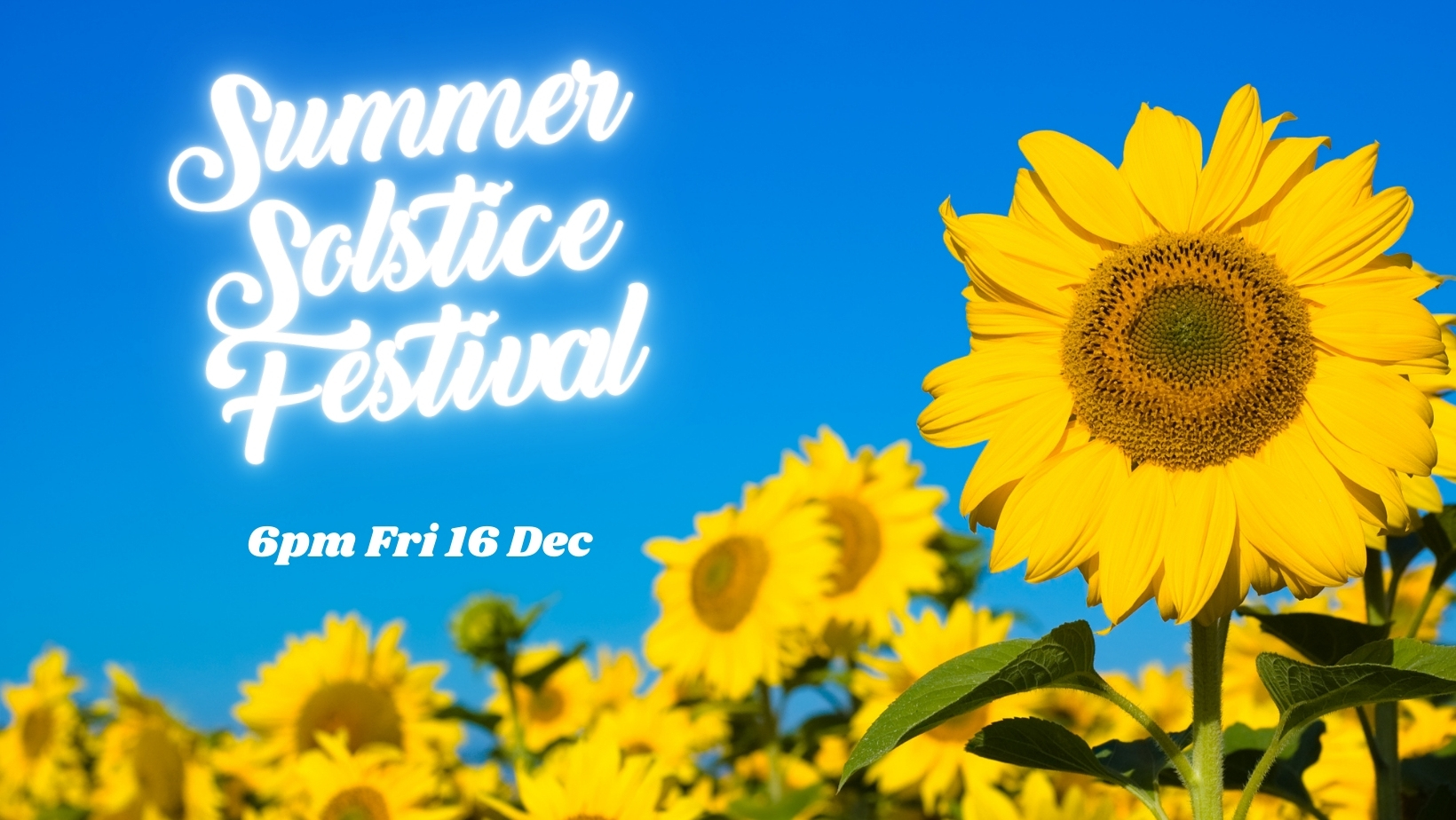 Summer Solstice Festival