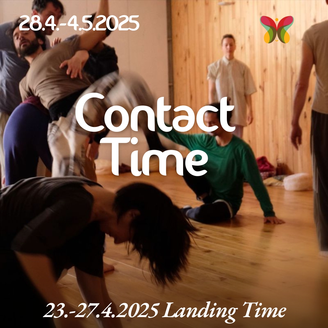 CONTACT TIME @ SERVIVO CONTACT IMPROVISATION FESTIVAL