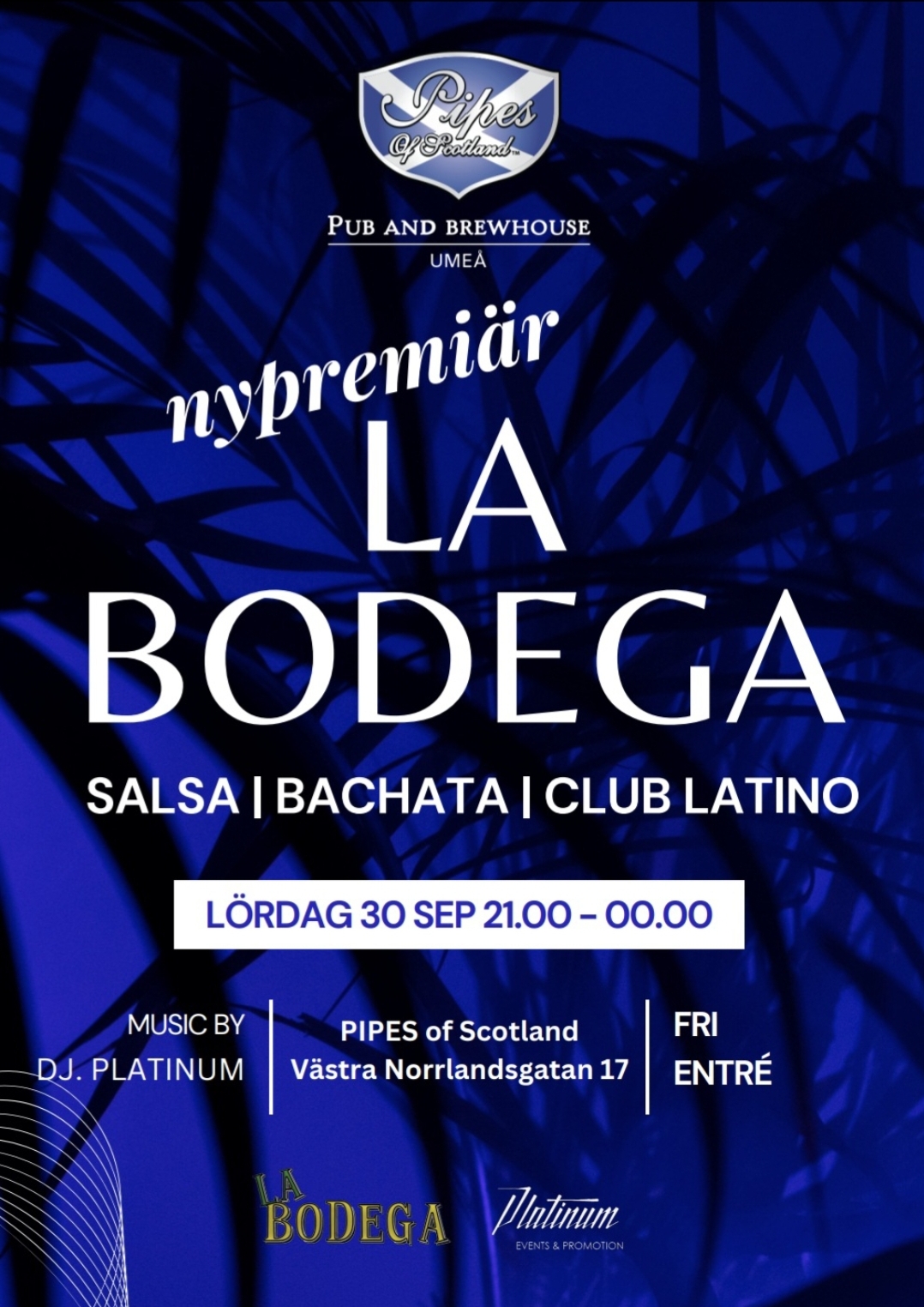 ⭐️LA BODEGA - NYPREMIÄR!⭐️