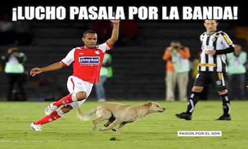 Pichanga Salsera No Se La Pierda