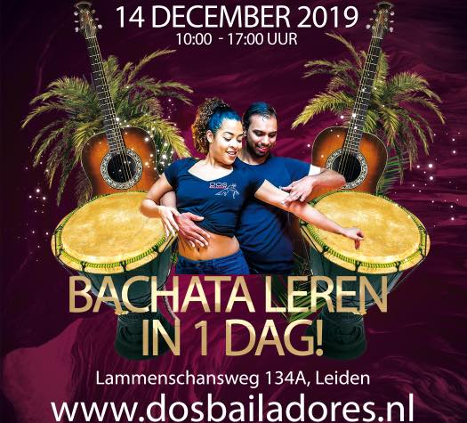 Dos Bailadores Bachata in 1 day