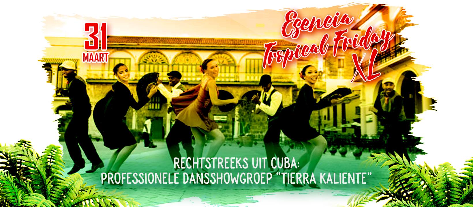 Esencia Tropical Friday XL