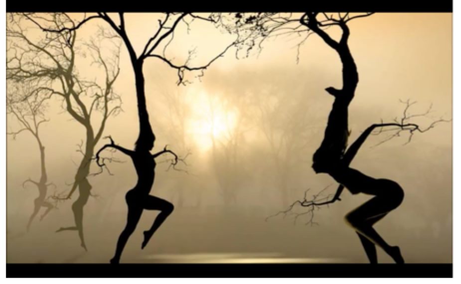 Atelier "Danser être dansé"