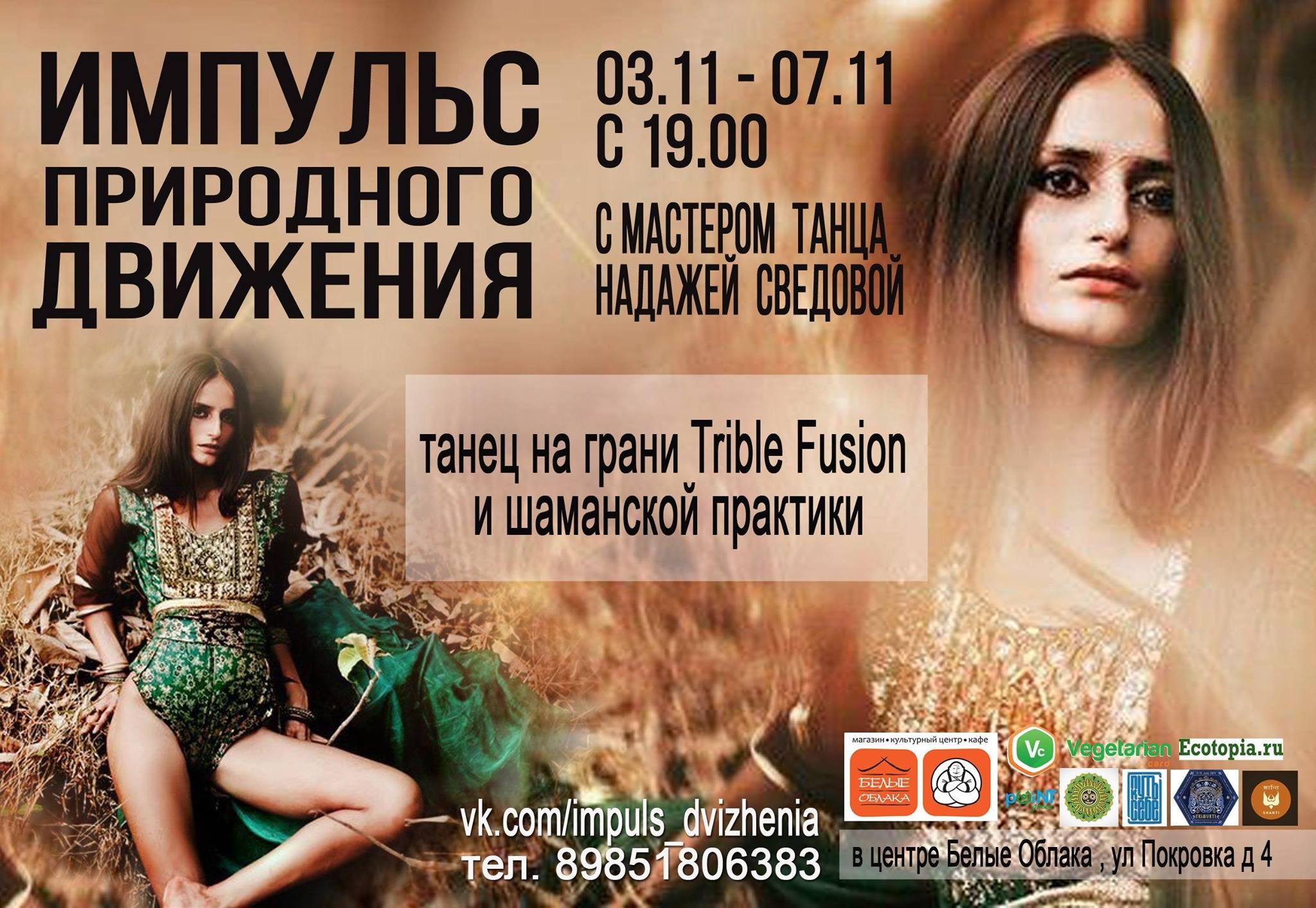Семинар Импульс Природного Движения