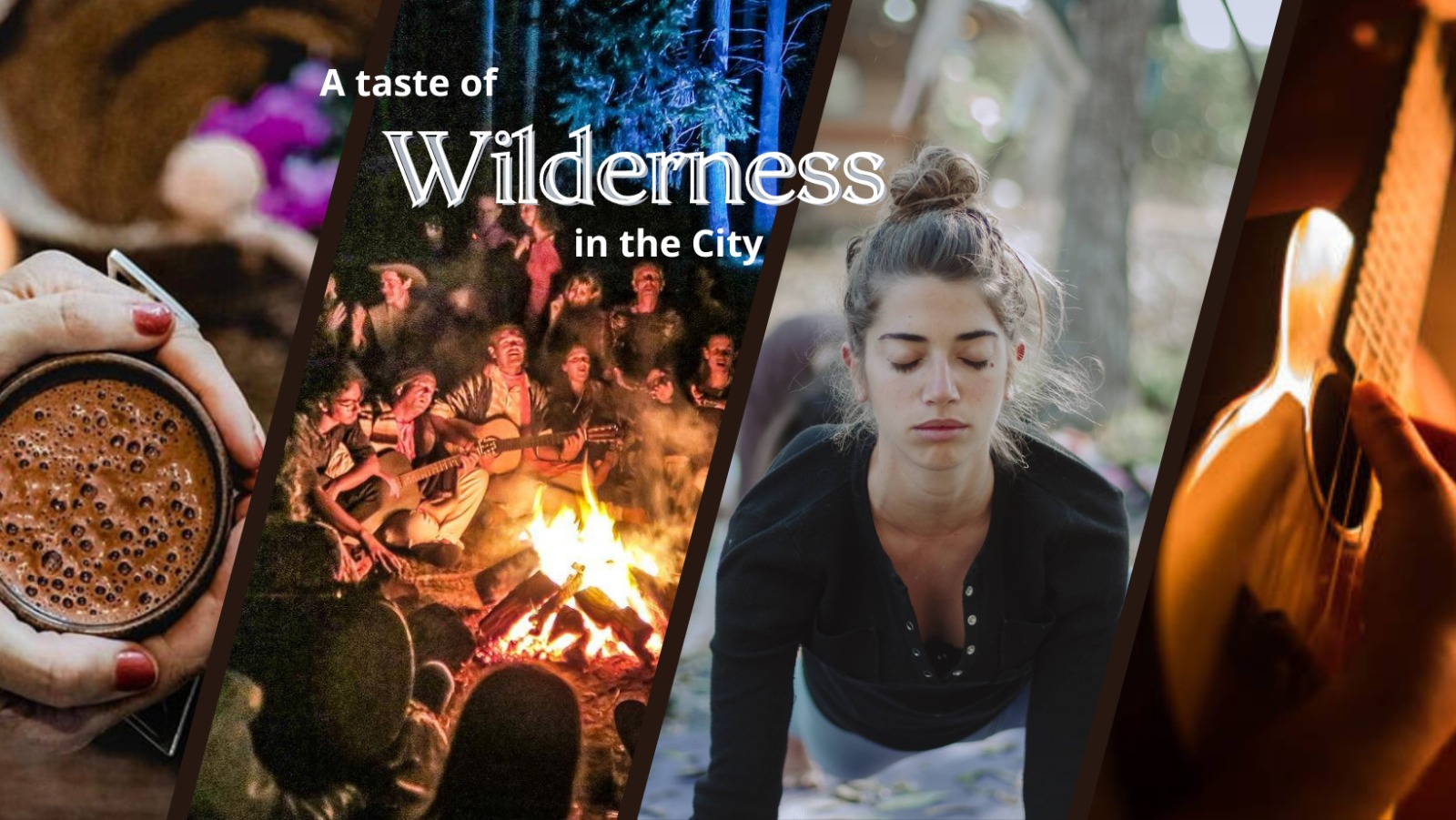 Wilderness in the City