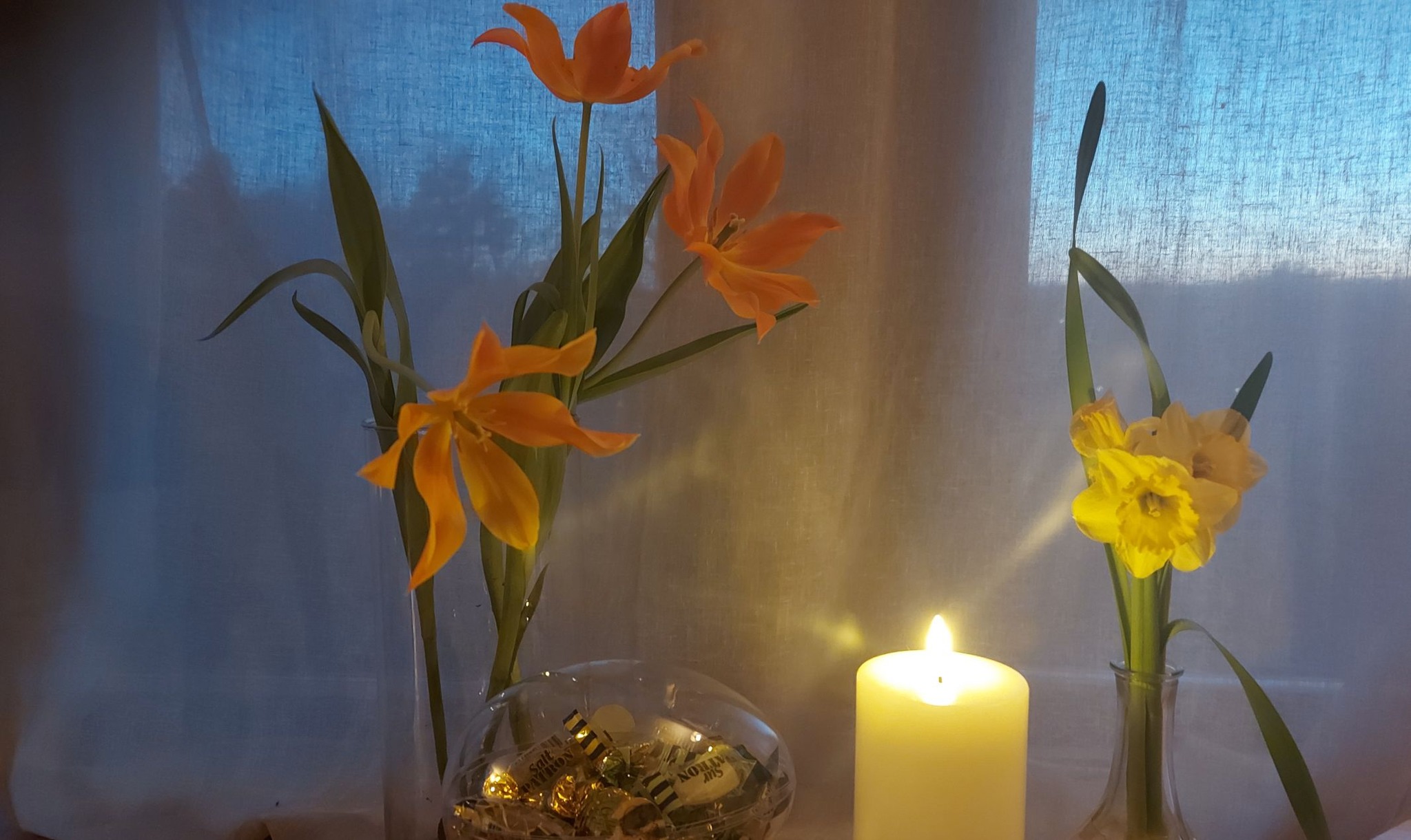 Glad Påsk DanZyra + "äggstra" 🐣 Prova-på Tango + uppvisning + praktika