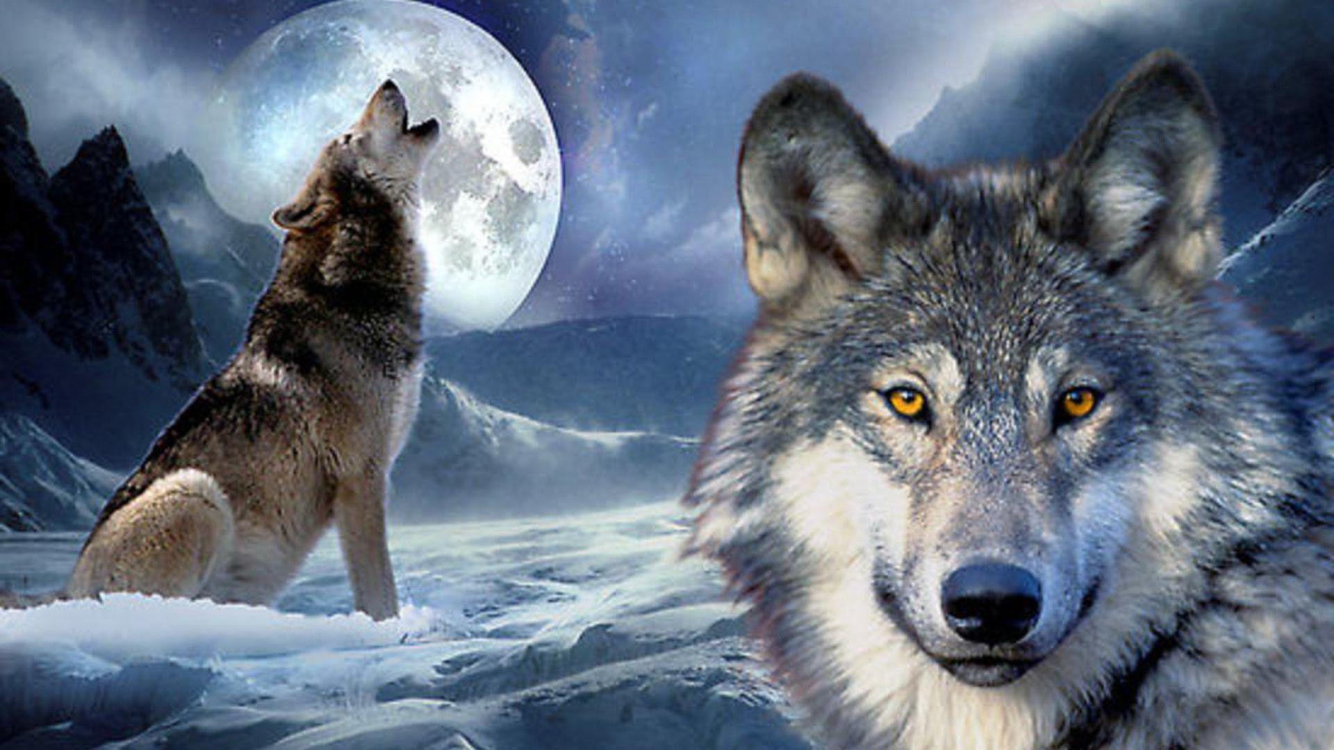 DANCING WITH THE WOLVES IN NATURE