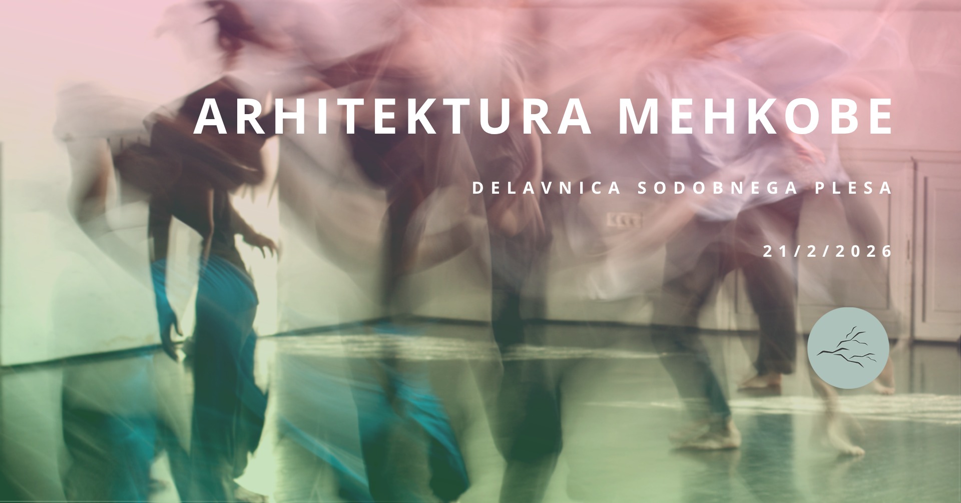 Arhitektura mehkobe IV. Delavnica sodobnega plesa