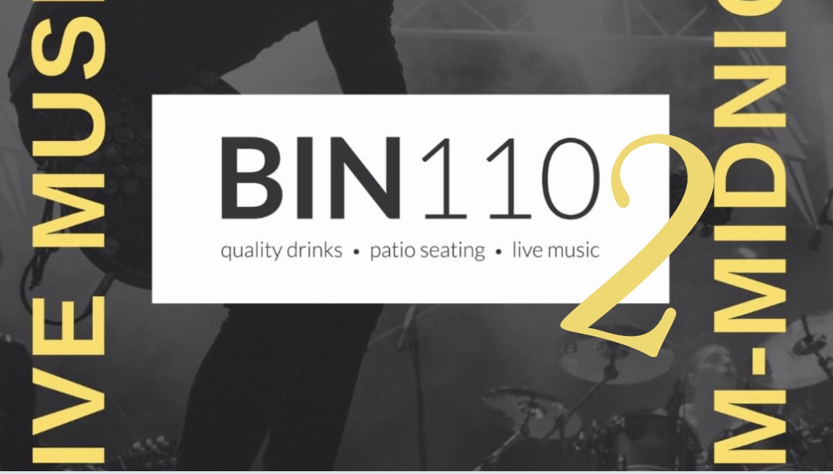 BIN 110 Step and Swing