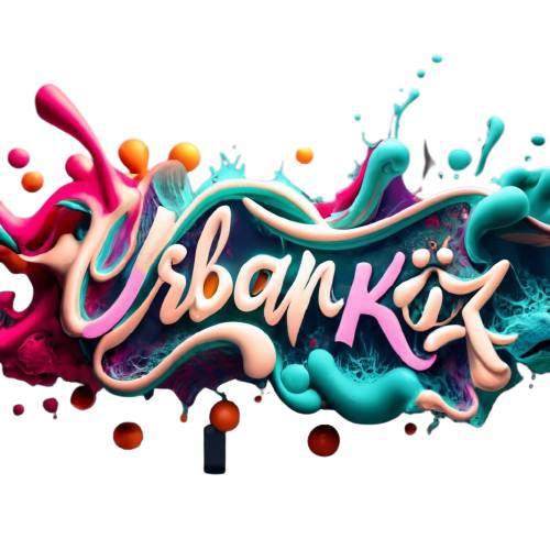 Stage UrbanKiz -VVK à TROYES