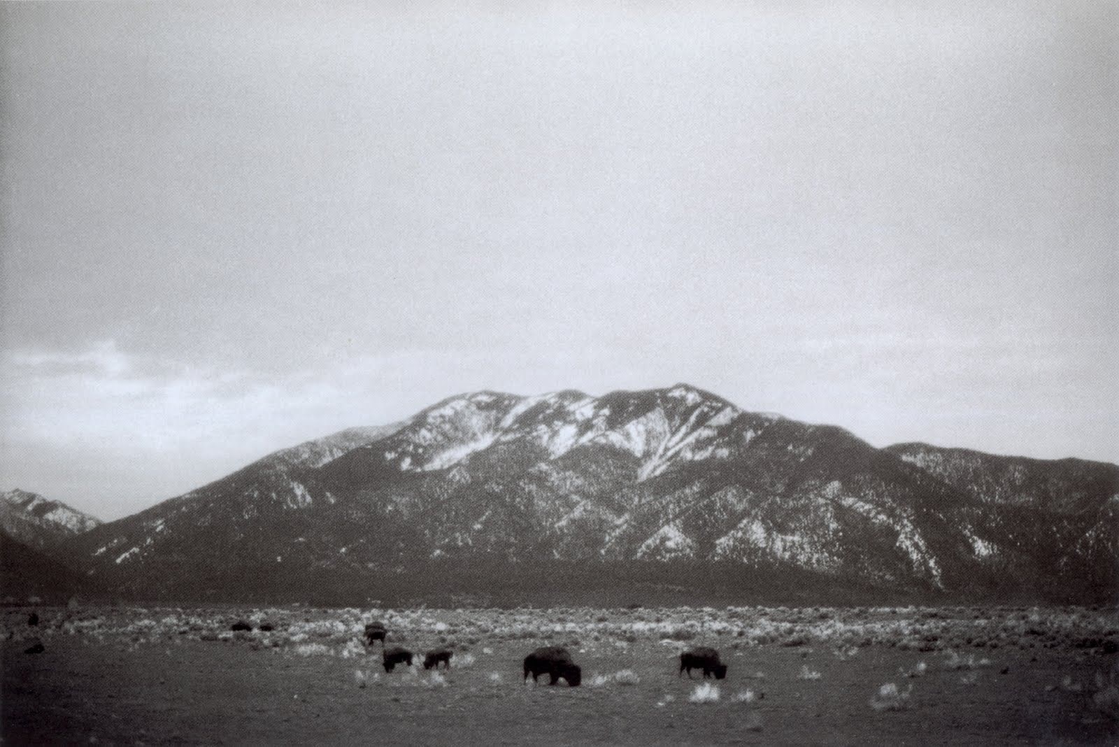 YOKE - The Mountain Experience